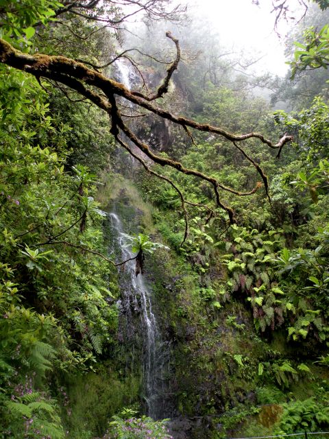 16 Madeira Quamadas - foto