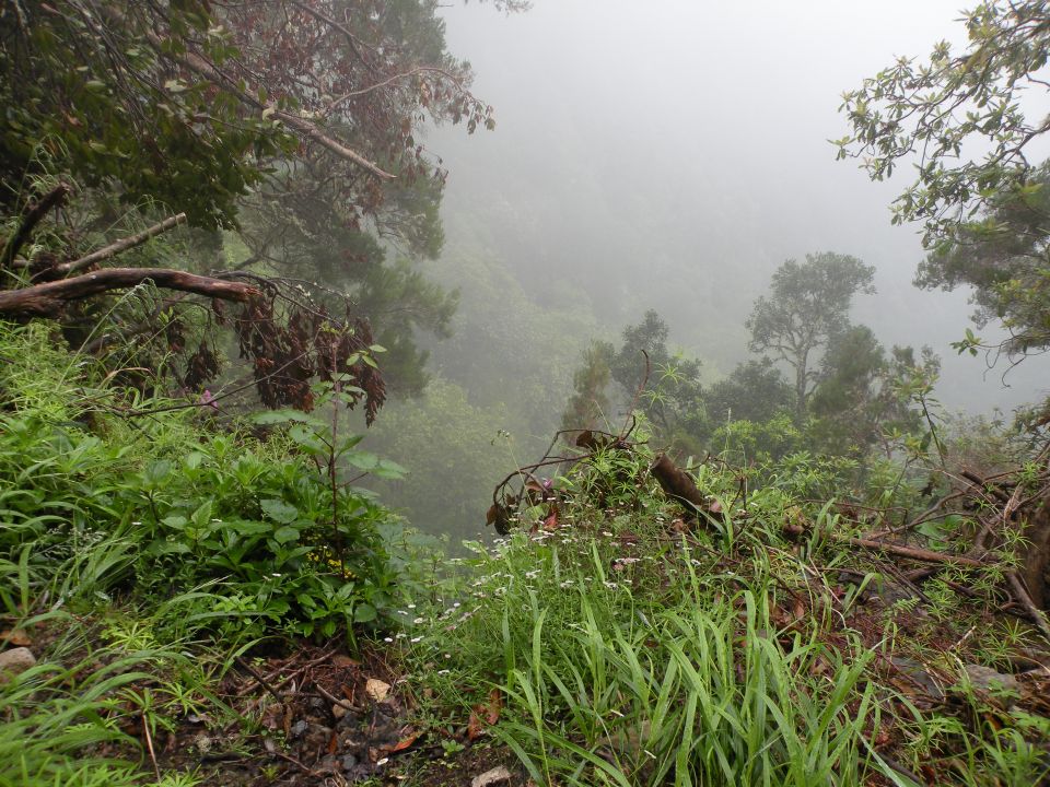 16 Madeira Quamadas - foto povečava