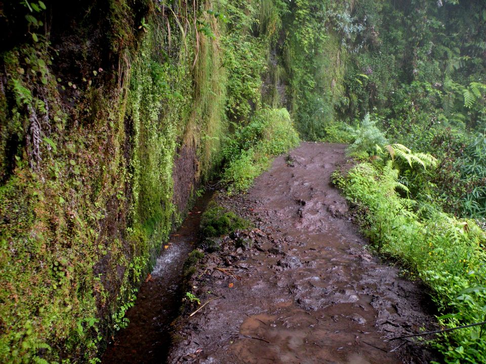 16 Madeira Quamadas - foto povečava