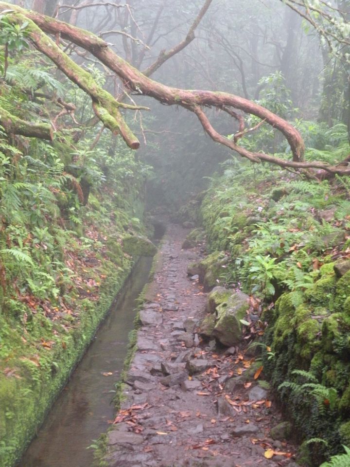 16 Madeira Quamadas - foto povečava