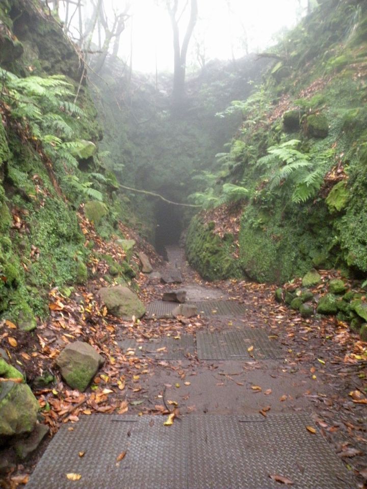 16 Madeira Quamadas - foto povečava