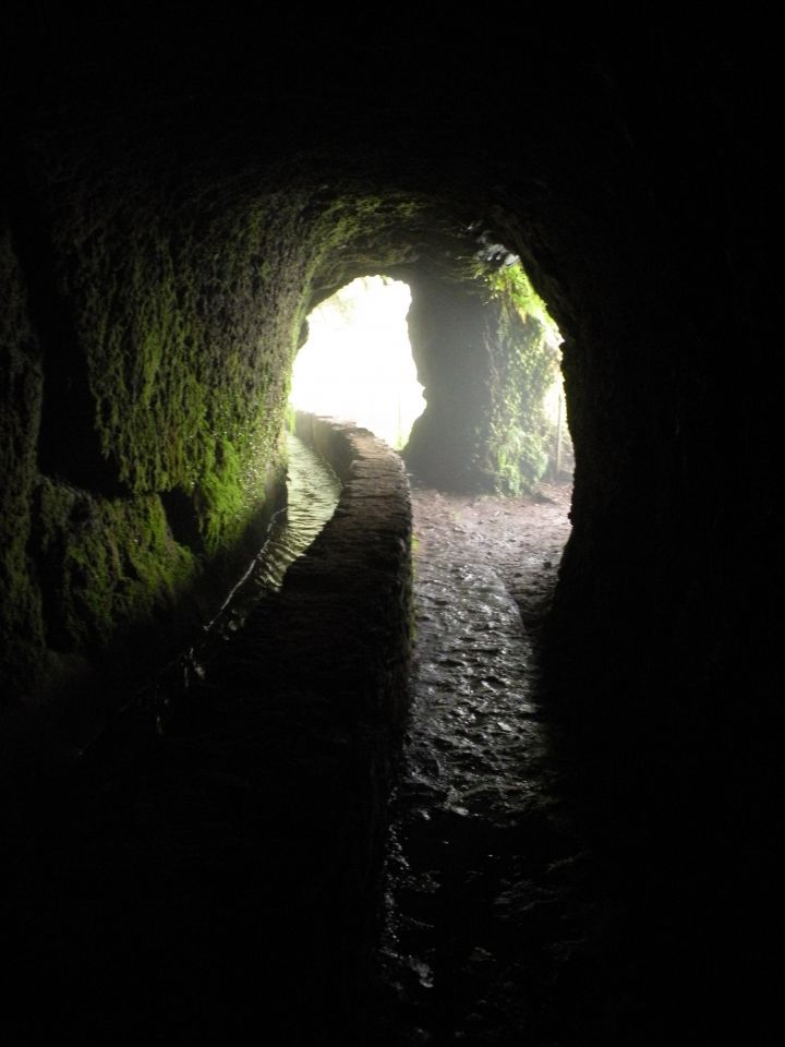 16 Madeira Quamadas - foto povečava