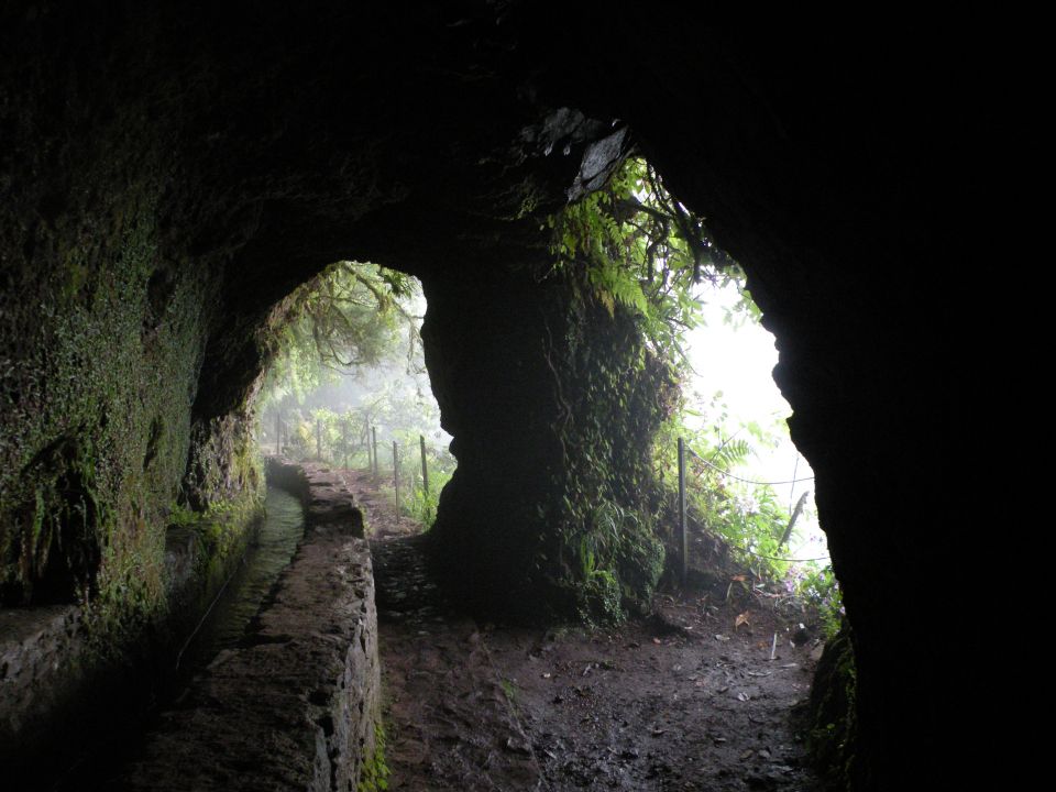 16 Madeira Quamadas - foto povečava