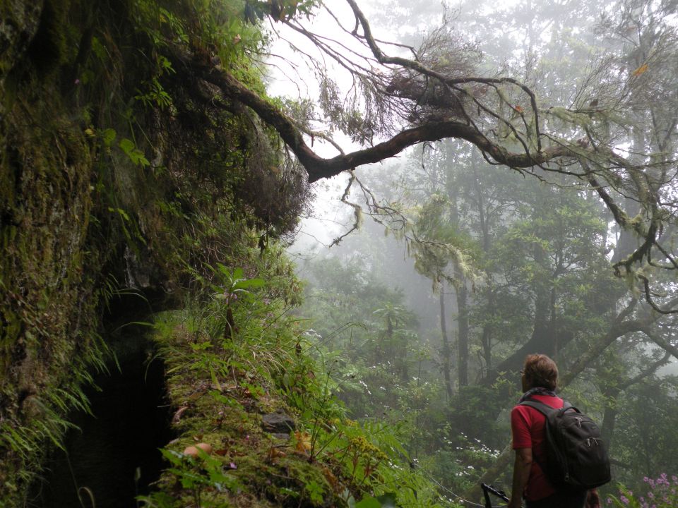 16 Madeira Quamadas - foto povečava