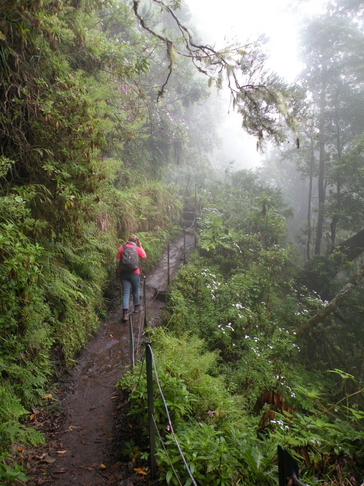 16 Madeira Quamadas - foto povečava