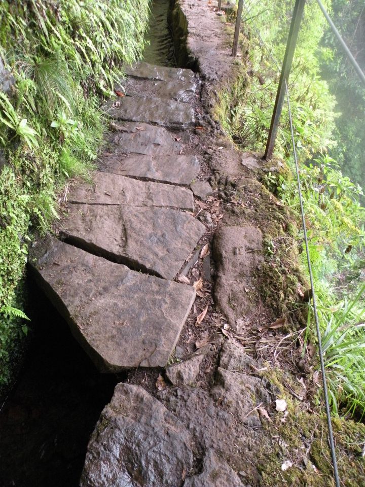 16 Madeira Quamadas - foto povečava