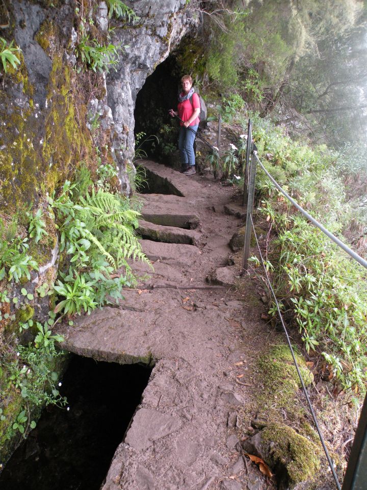 16 Madeira Quamadas - foto povečava