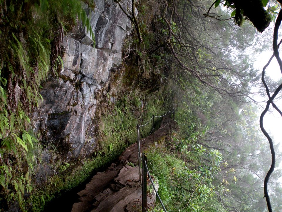 16 Madeira Quamadas - foto povečava