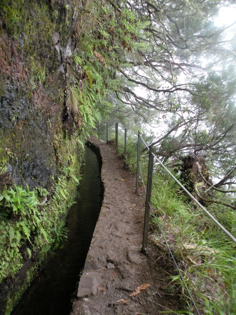 16 Madeira Quamadas - foto