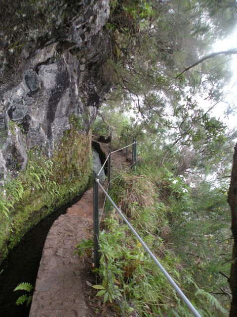 16 Madeira Quamadas - foto