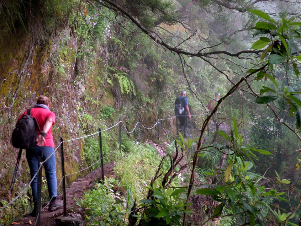 16 Madeira Quamadas - foto povečava