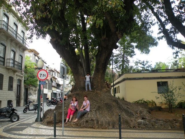 16 Madeira Funshal zvečer - foto