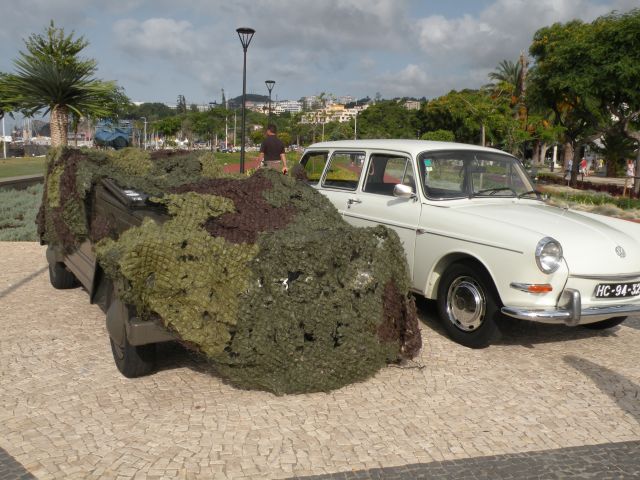 16 Madeira starodobniki - foto