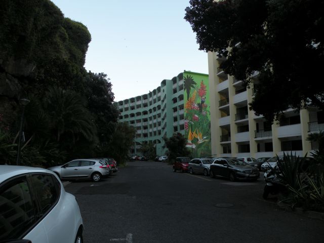 16 Madeira Pestana hotel okolica - foto