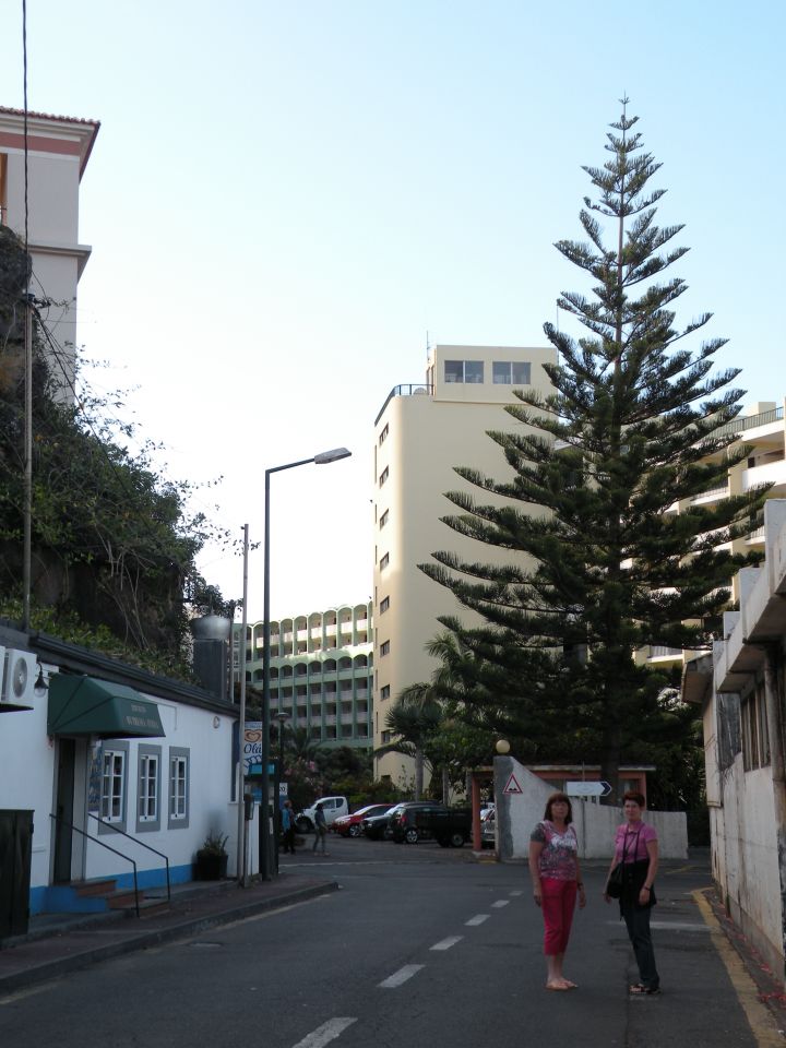 16 Madeira Pestana hotel okolica - foto povečava