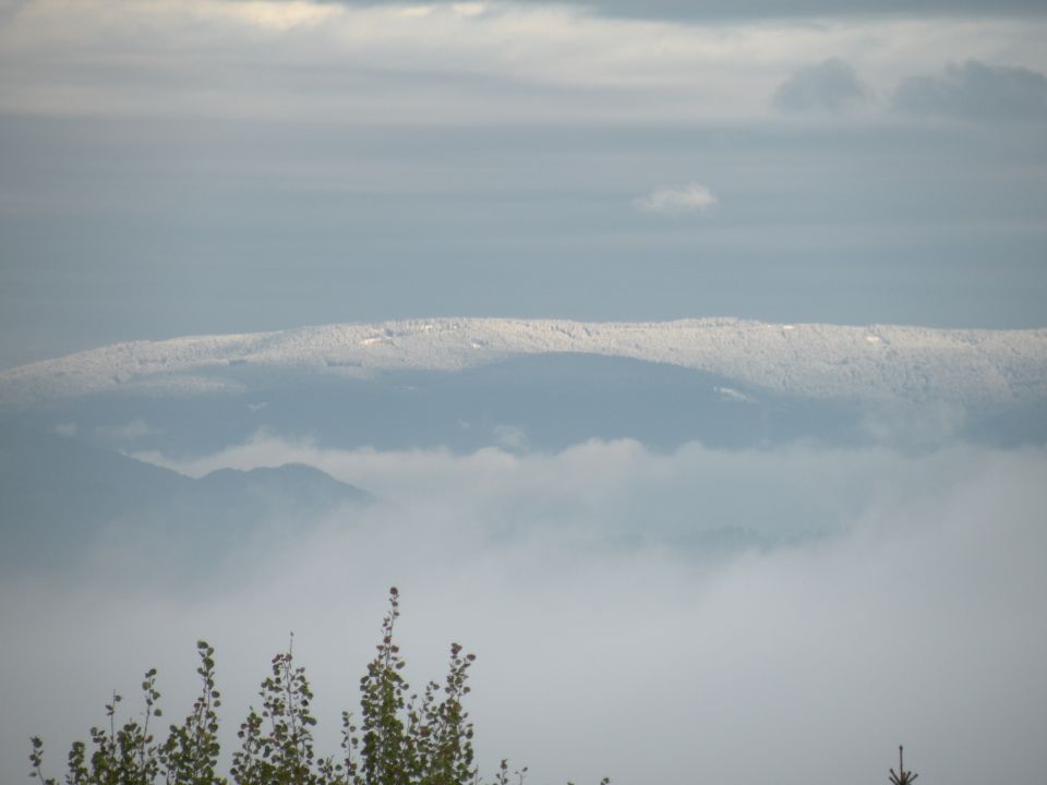 16 Lovrenc, Lokavec - foto povečava