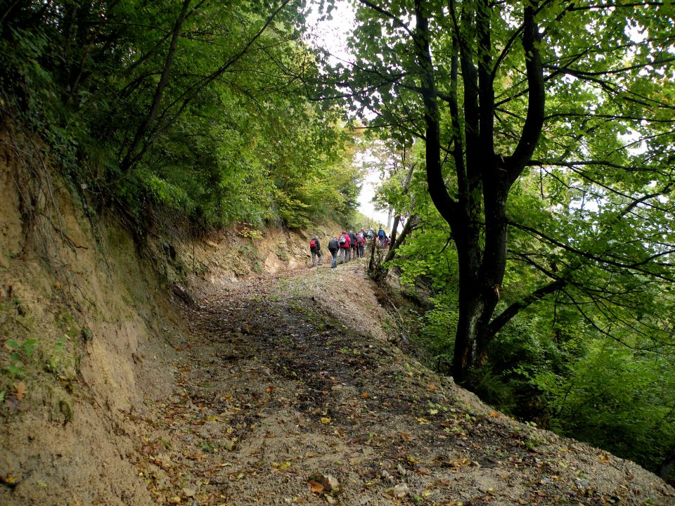 16 Lovrenc, Lokavec - foto povečava