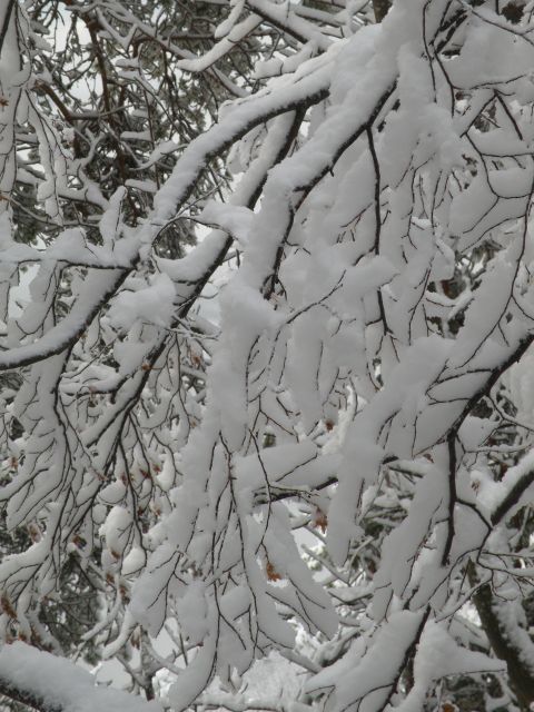 16 Na Lisco v prvi sneg in na lep razgled - foto