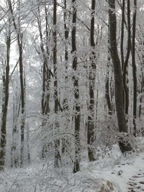 16 Na Lisco v prvi sneg in na lep razgled - foto