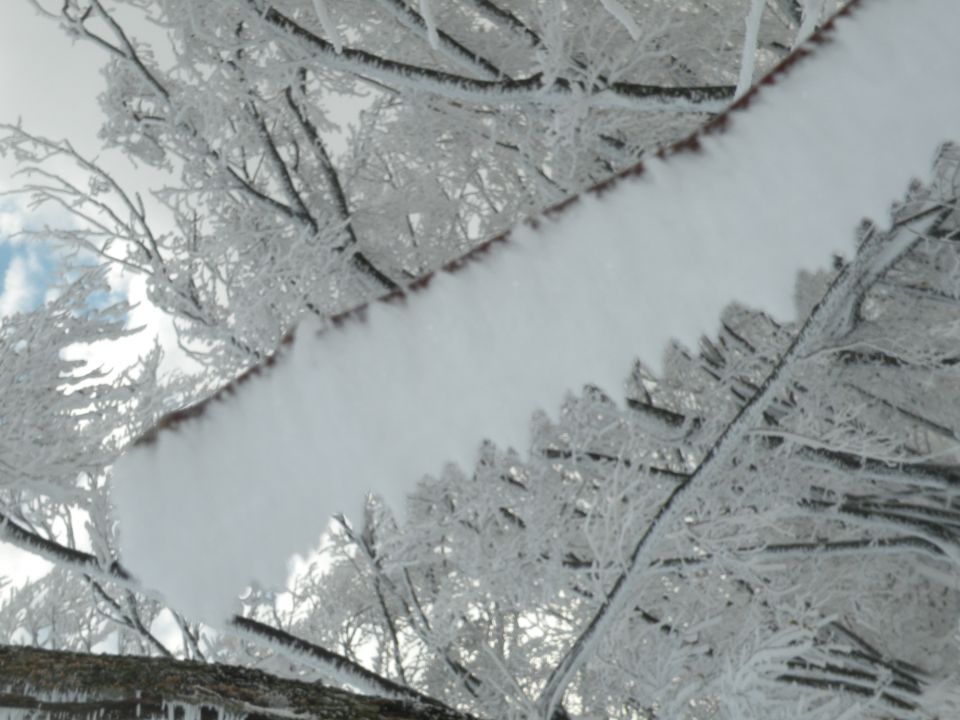 16 Na Lisco v prvi sneg in na lep razgled - foto povečava
