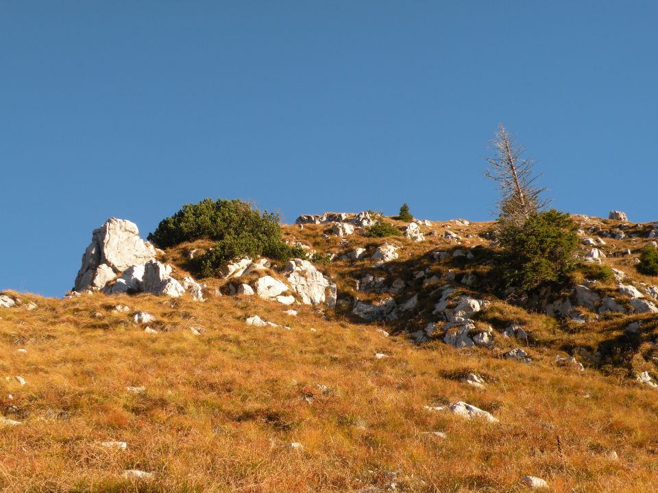 16 Trenta in dolina Lepene  - foto povečava