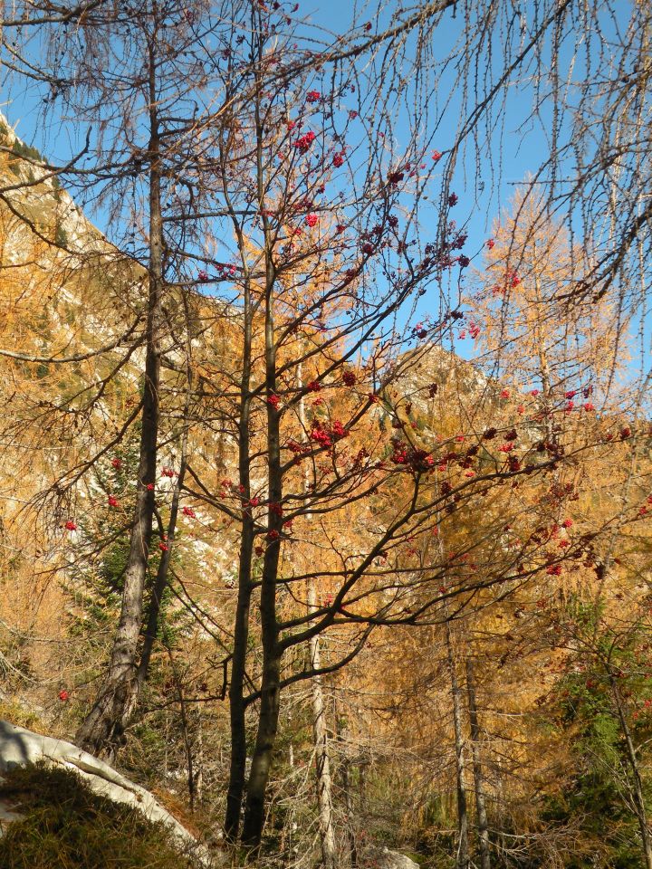 16 Trenta in dolina Lepene  - foto povečava