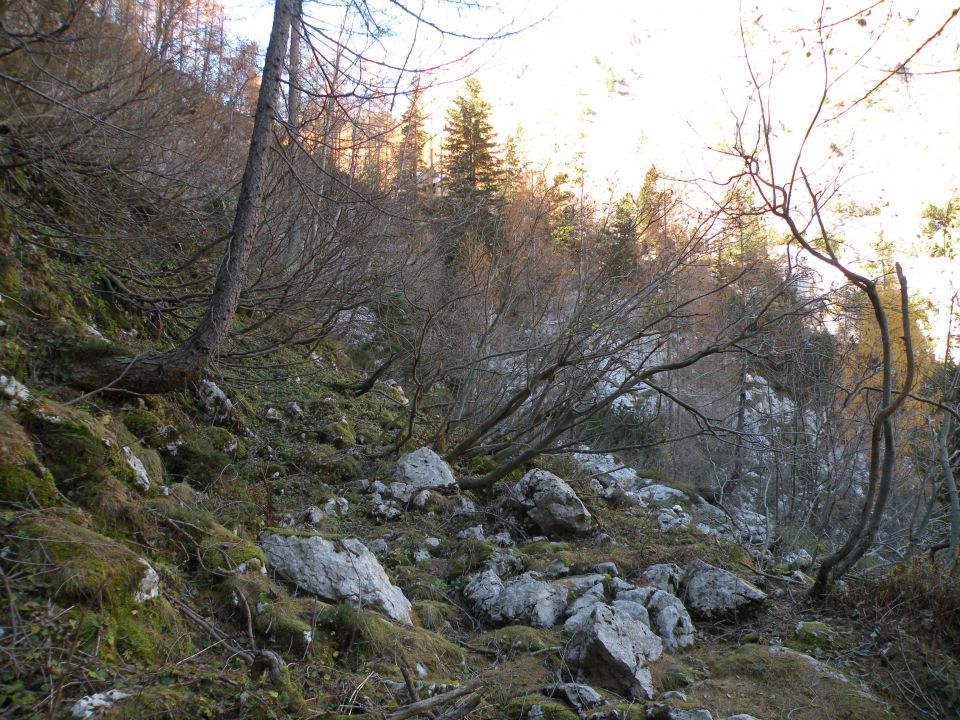 16 Trenta in dolina Lepene  - foto povečava