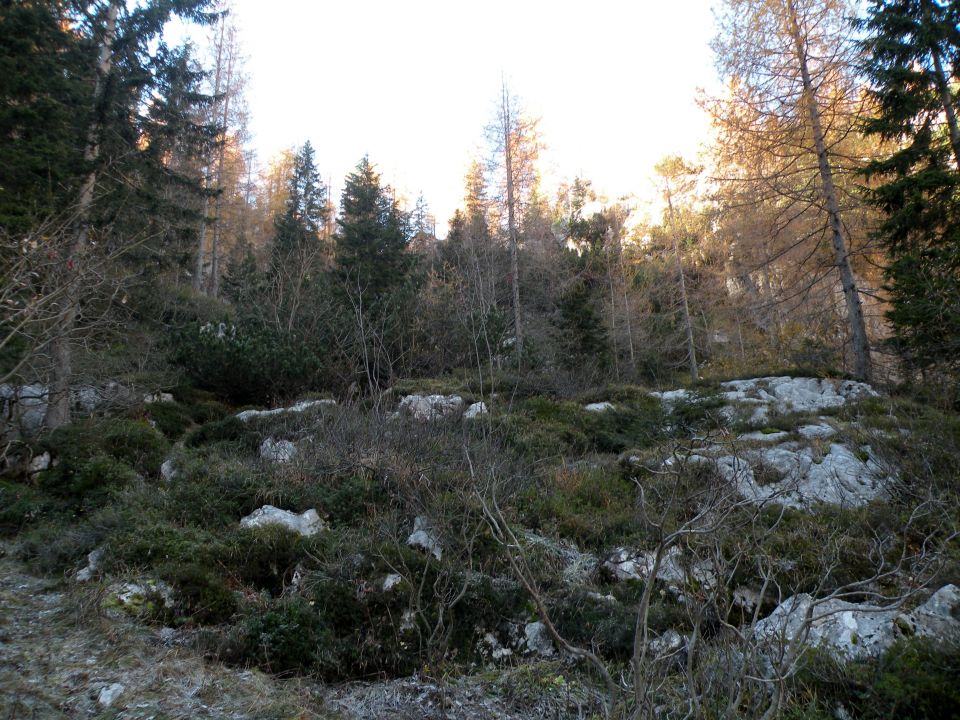 16 Trenta in dolina Lepene  - foto povečava