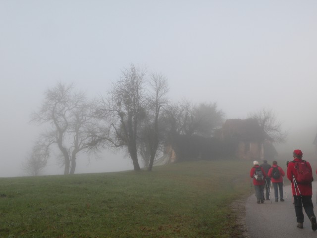 16 Hinje Šajngrob - foto