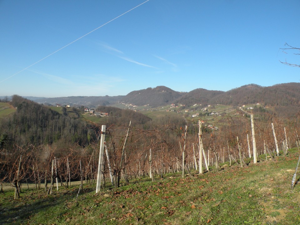 16 Poklek nad blanco - foto povečava