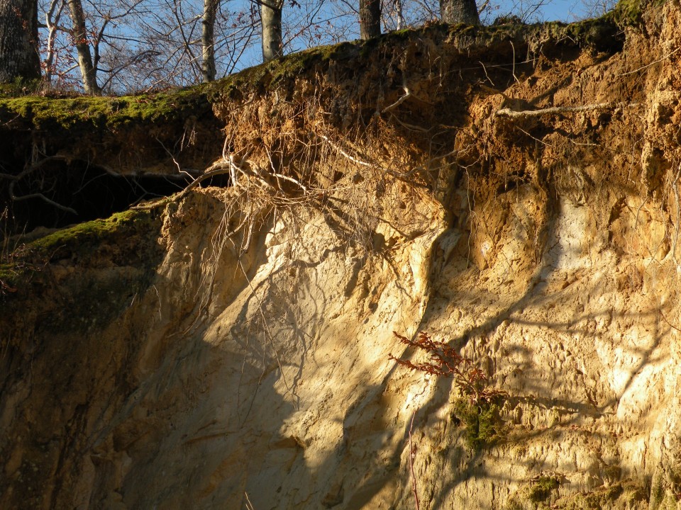 16 Poklek nad blanco - foto povečava