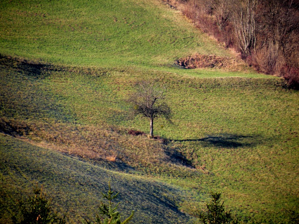 16 Poklek nad blanco - foto povečava