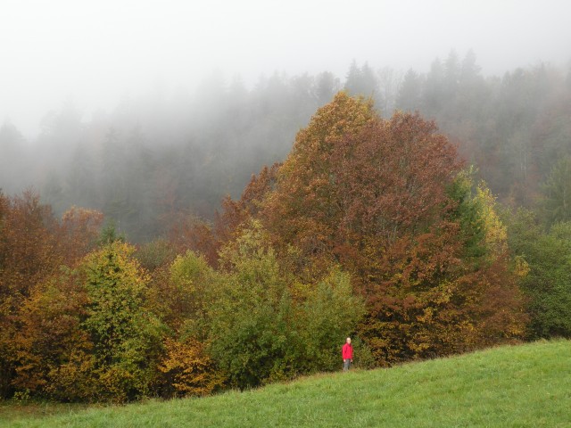 16 Šentjur na polju - foto