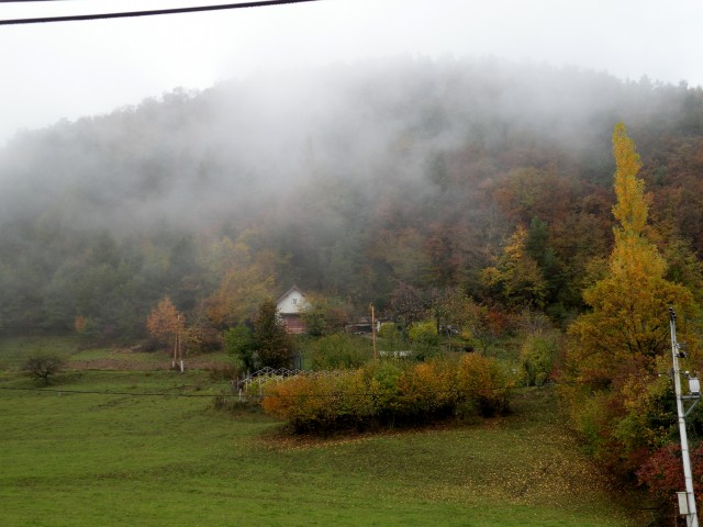 16 Šentjur na polju - foto