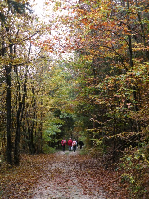 16 Šentjur na polju - foto