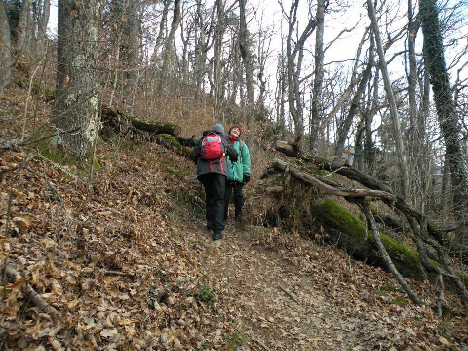 16 Čez Polano na Lisco - foto povečava