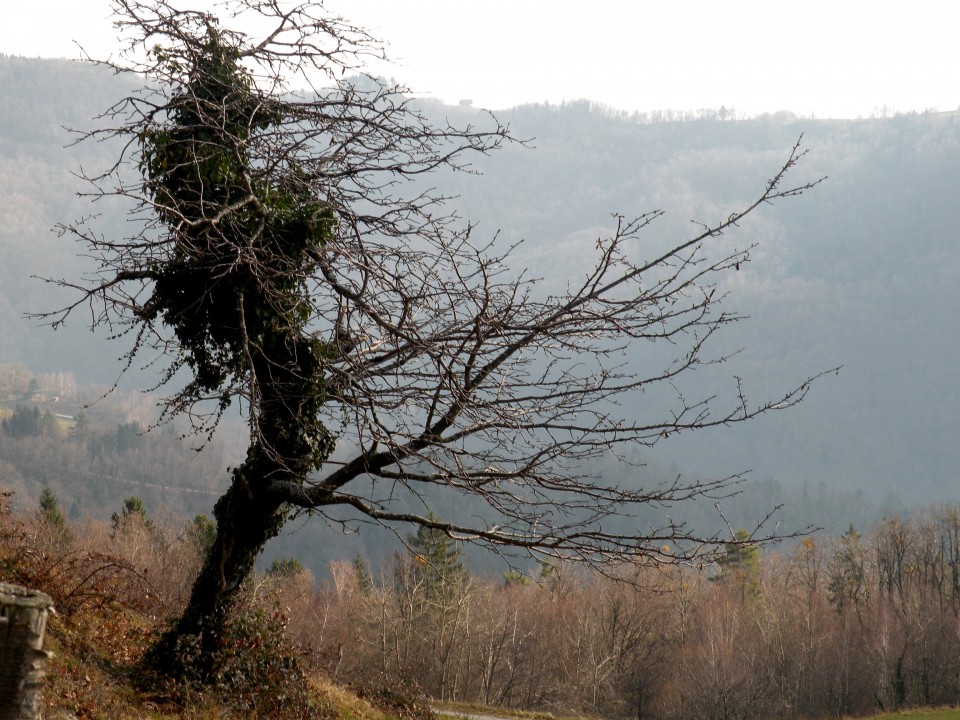 16 Čez Polano na Lisco - foto povečava