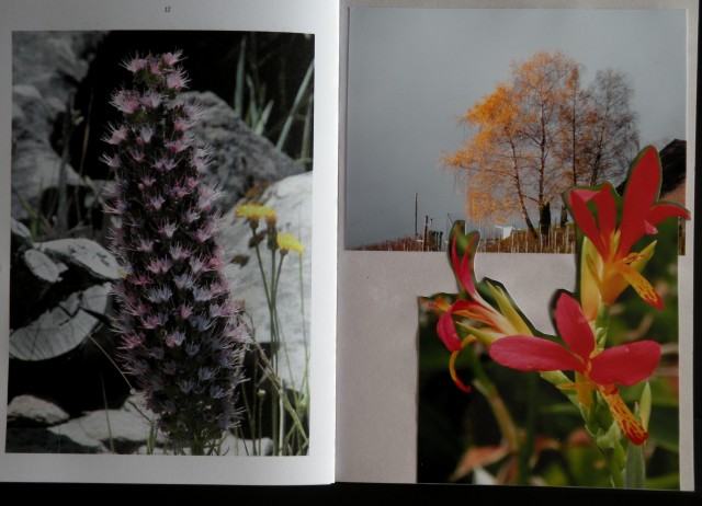 17 Vinko - vandrovci - foto