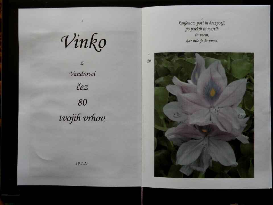 17 Vinko - vandrovci - foto povečava