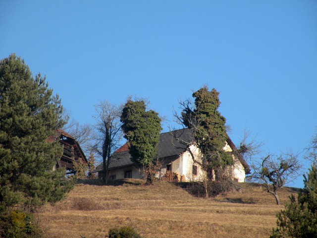 17 Podboršt - foto