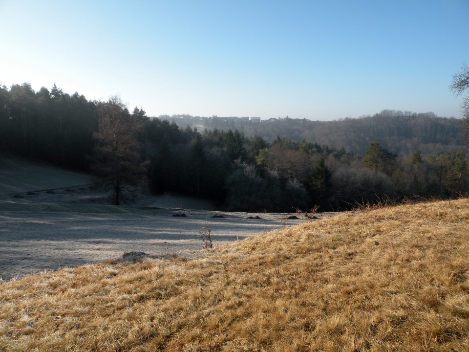 17 Podboršt - foto povečava