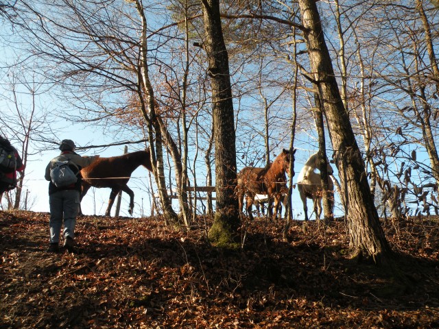 17 Podboršt - foto