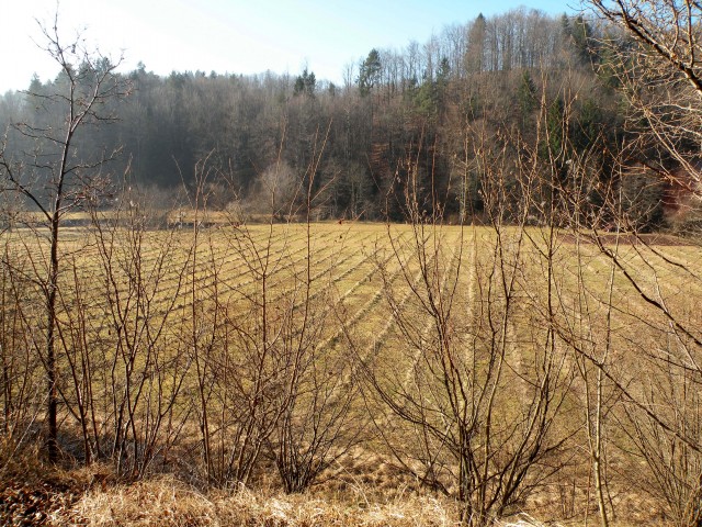 17 Podboršt - foto