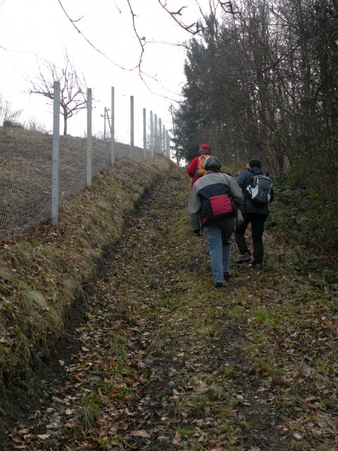 17 Ostrožnik in Vrtačnica - foto