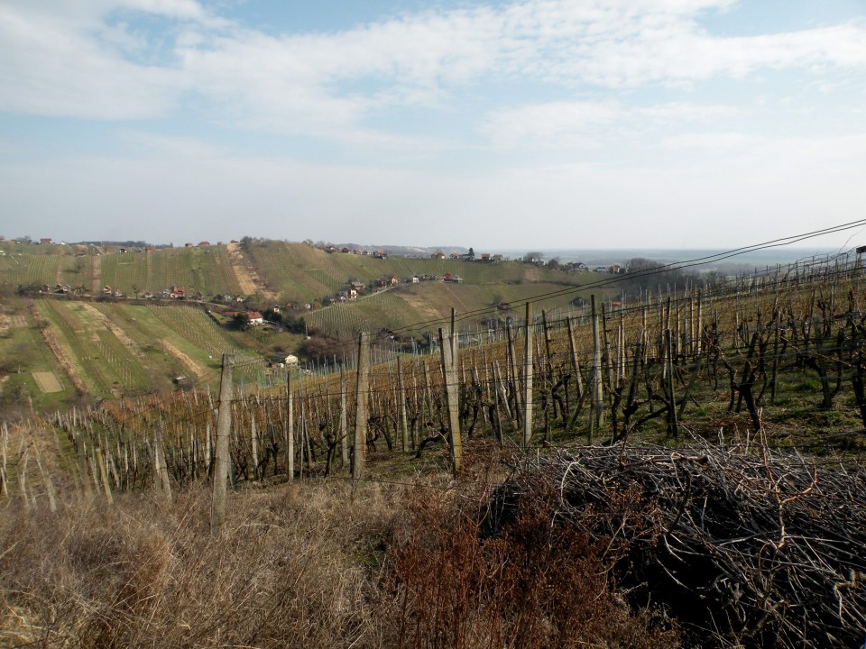 17 U3 Lendava Vinarium - foto povečava