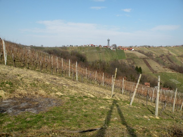 17 U3 Lendava Vinarium - foto