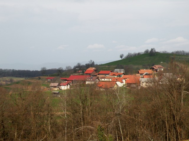 17 Primož navadni kosmatinec - foto