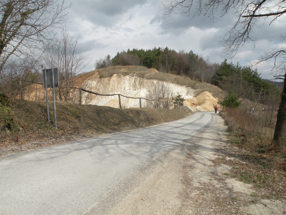 17 Primož navadni kosmatinec - foto povečava