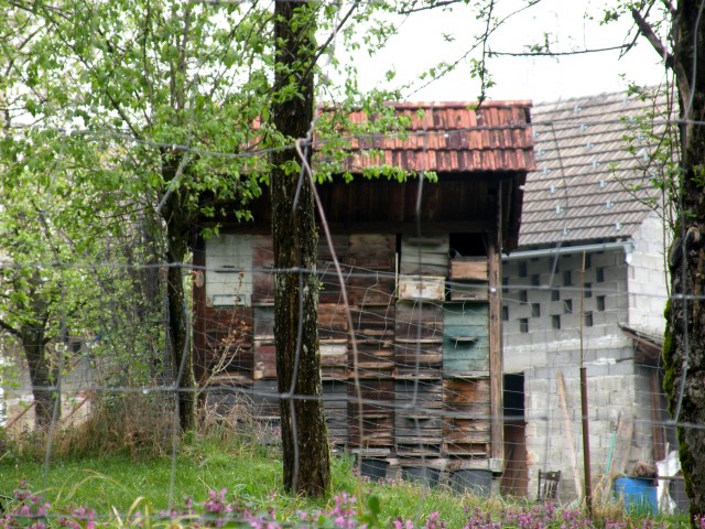 17 Bela cerkev - foto