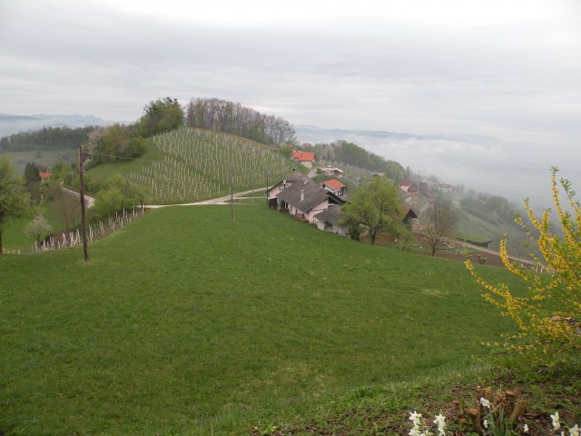 17 Bela cerkev - foto